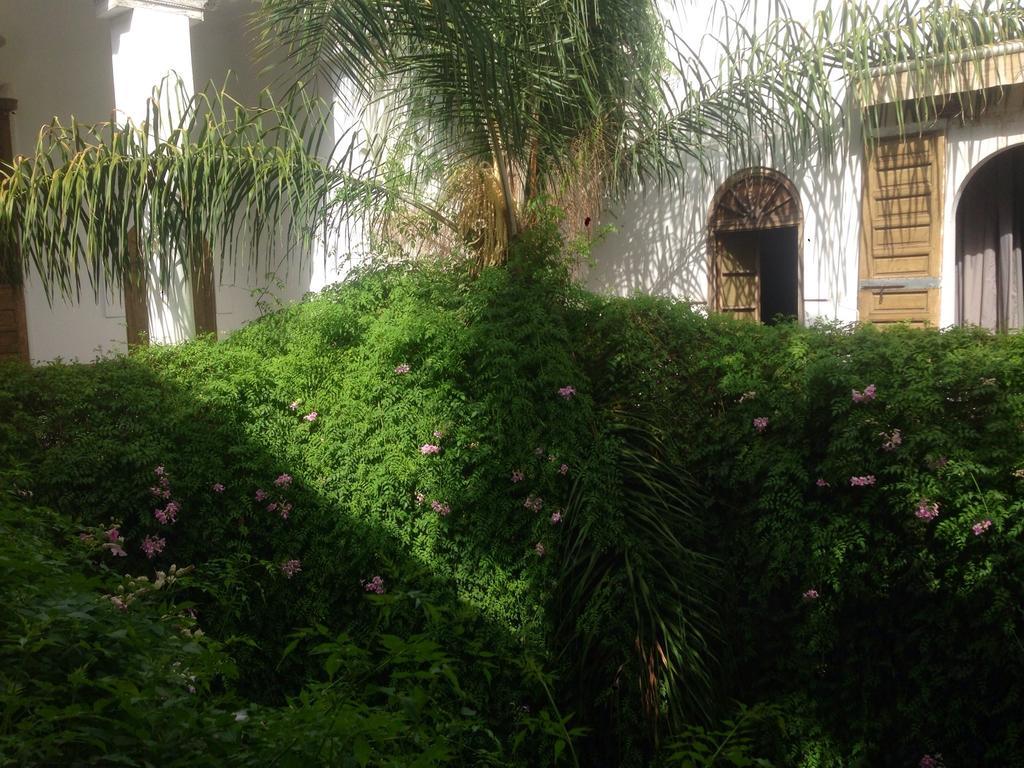 Riad Al Assala مراكش المظهر الخارجي الصورة